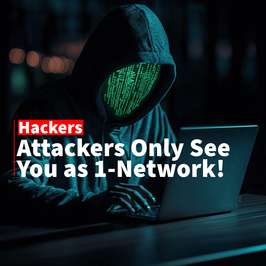 Cybercriminals Only see 1 network: Hackers See One System as the Attacker